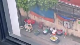 Trong bộ đồ lưới cực phẩm bé sinh viên còn gạ anh ra cửa sổ chịch ngắm phố phường