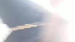 Em vú to thích cảm giác lạ rủ anh vào vườn cây bú cu cưỡi ngựa đổi gió